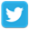 Twitter Logo